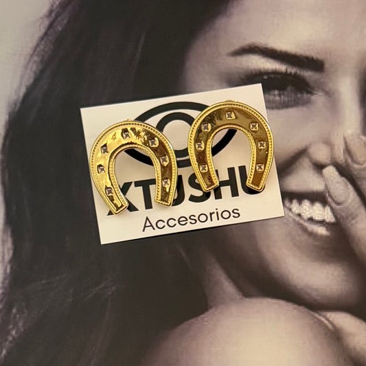 Aretes herradura