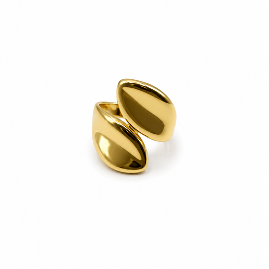Anillo ajustable dos hojas